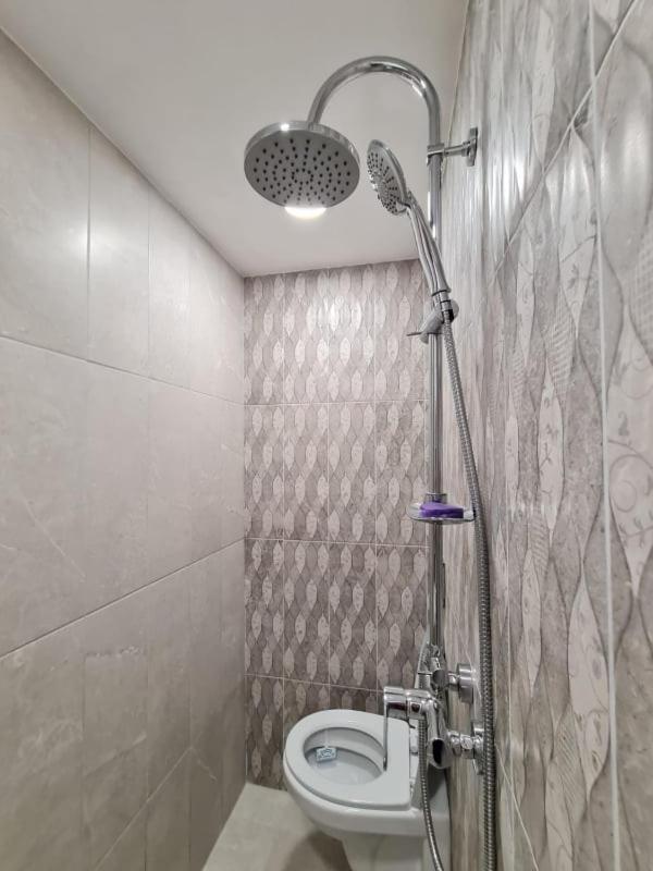 Studio Pico Cluj-Napoca Exteriör bild